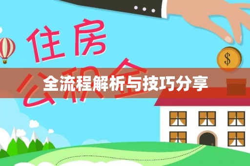 新泰全流程解析与技巧分享